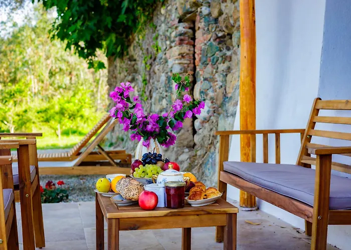 Du Domaine Marquiliani * Fautea