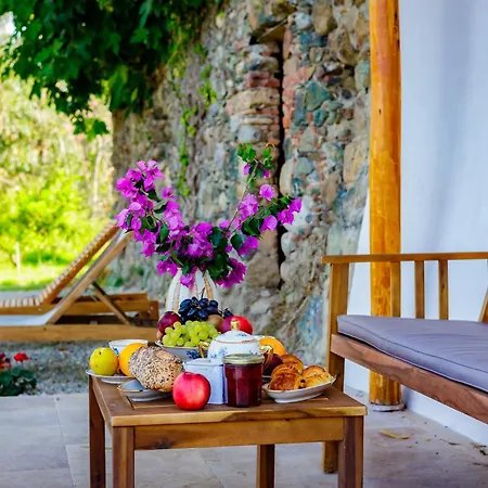 Du Domaine Marquiliani * Fautea