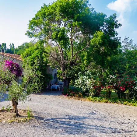 Du Domaine Marquiliani *