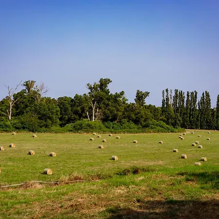 乡村民宿 Du Domaine Marquiliani Fautea