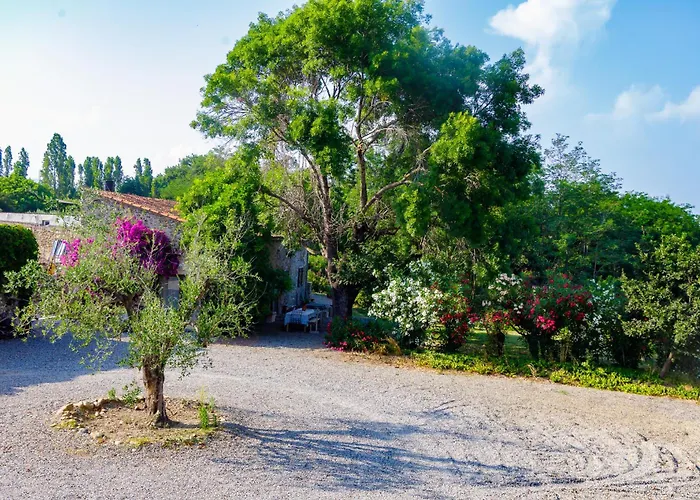 Du Domaine Marquiliani *