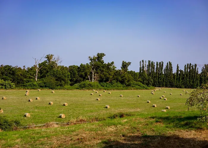 Landsted Du Domaine Marquiliani Fautea